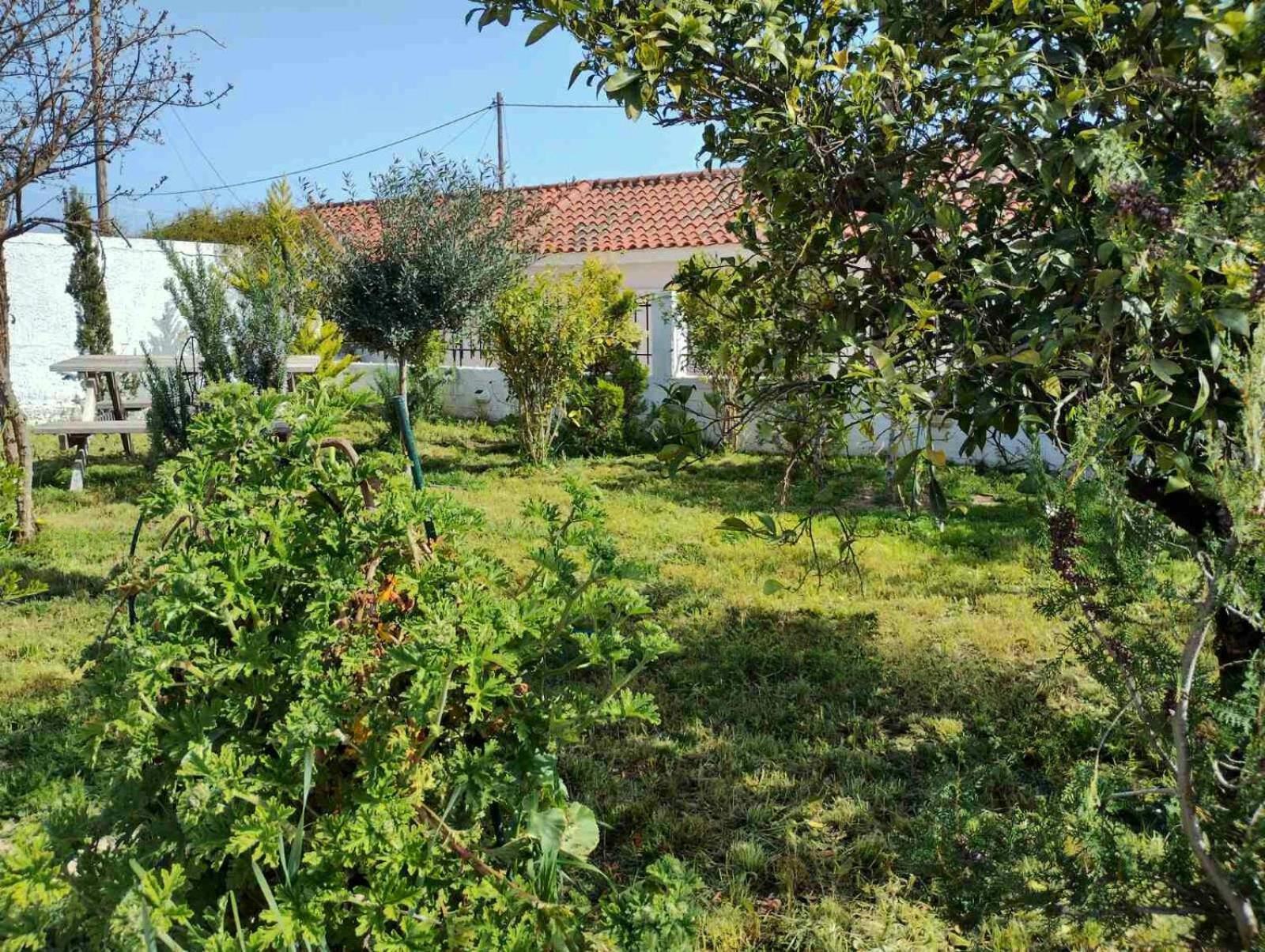 Nafplio Cottage-Grandma'S Yard Asini  Luaran gambar